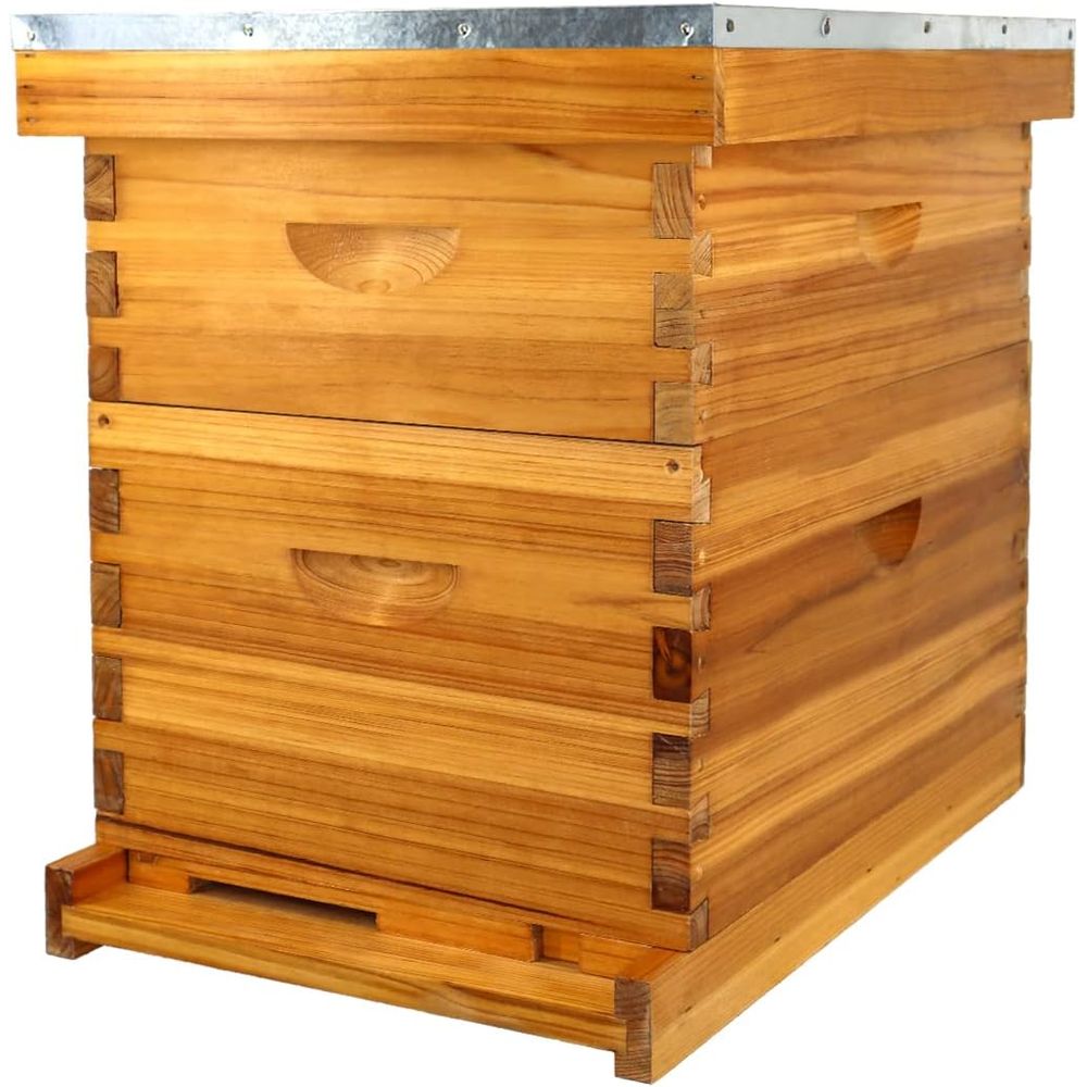 Beehive Frame Wax - Complete 8-Frame Beehive Kit with Waxed