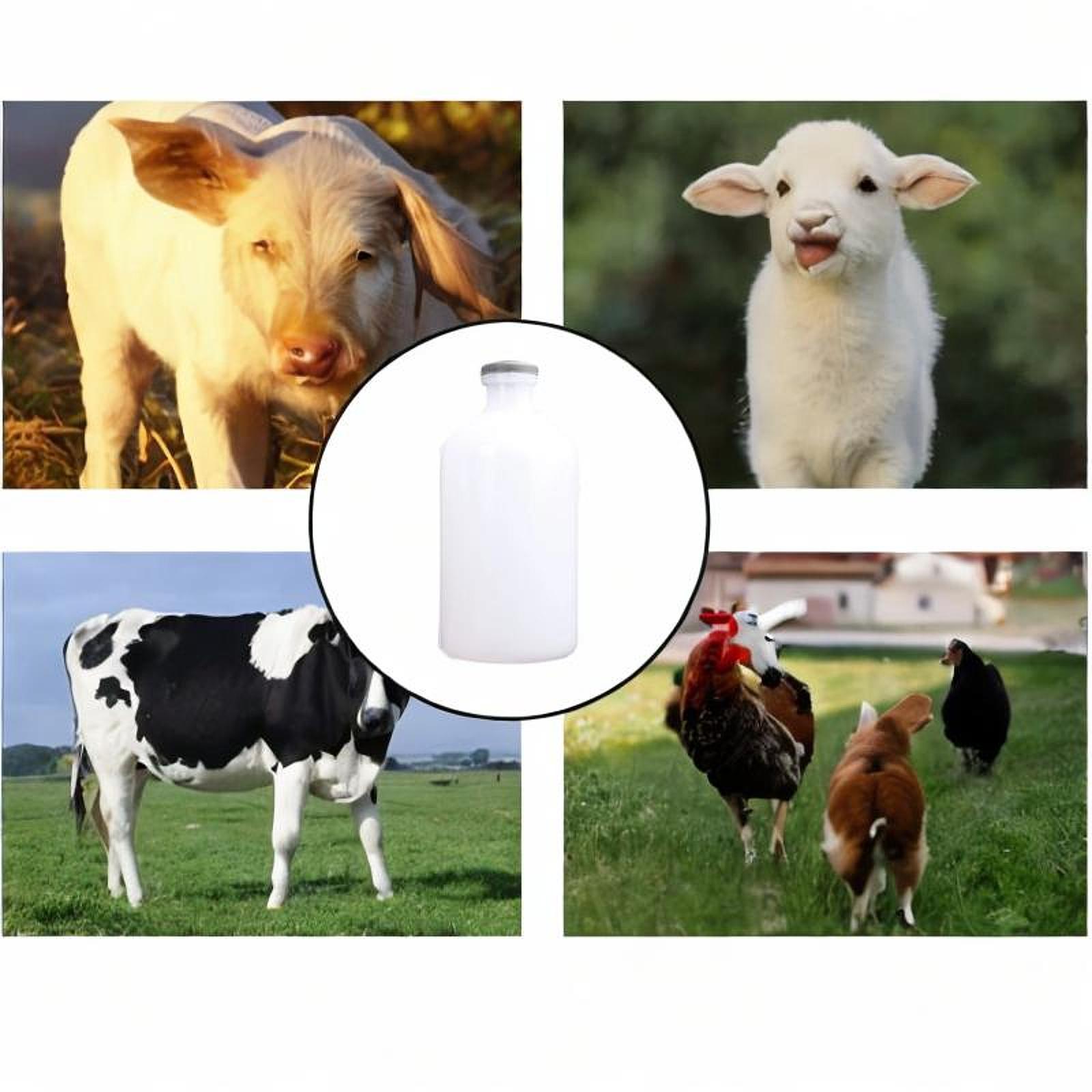 Agriculture Farming Practices - Poultry Syringe Vaccine Bottle Multipurpose Thickened