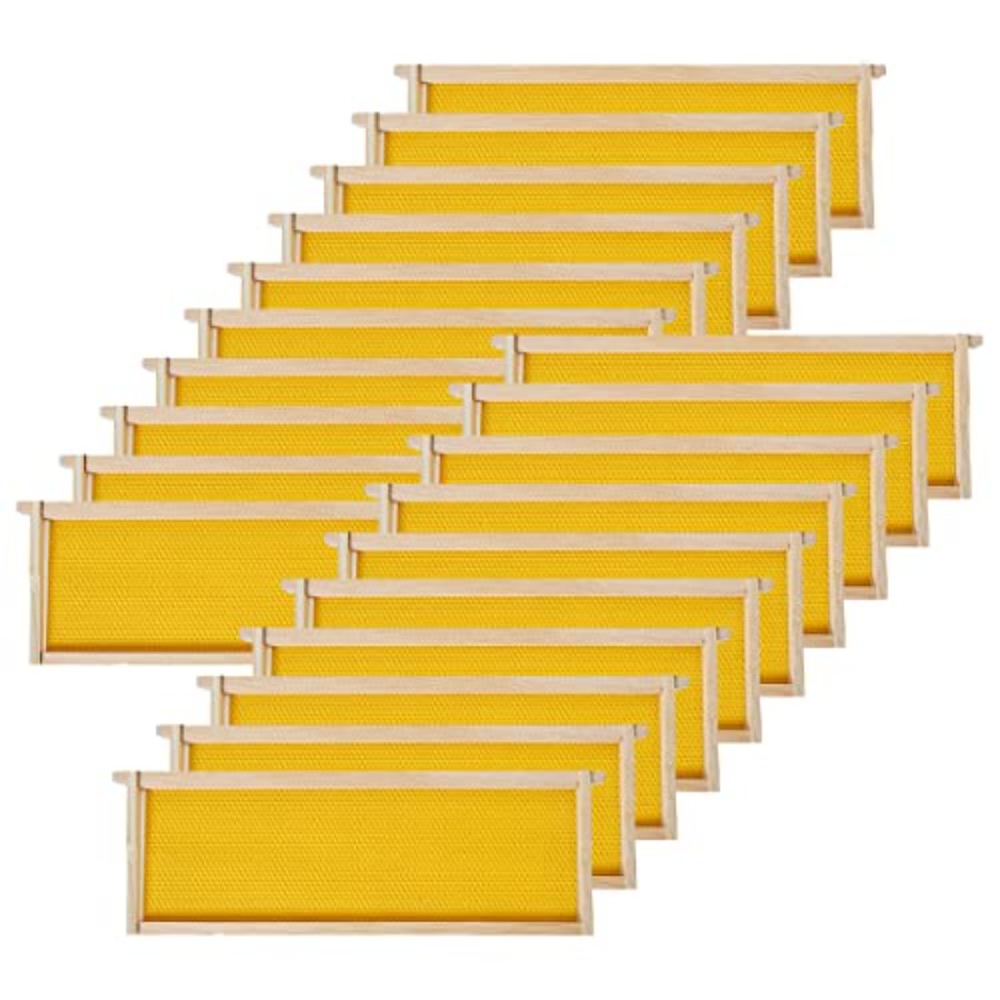 Beehive Frame Wax - BeeCastle 20 Pack Medium Beehive Frames