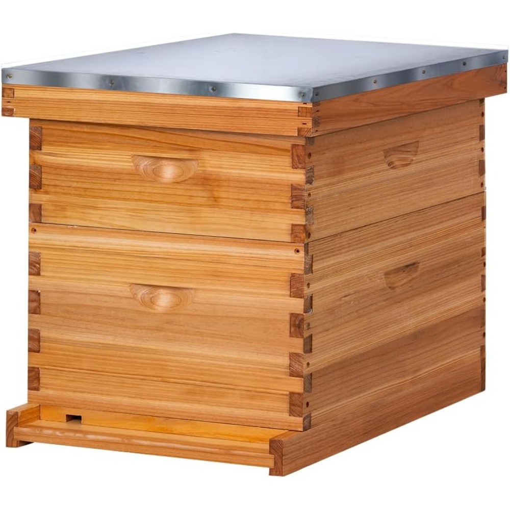 Beehive Frame Wax - POLLI-BEE 10-Frame Bee Hive Kit with