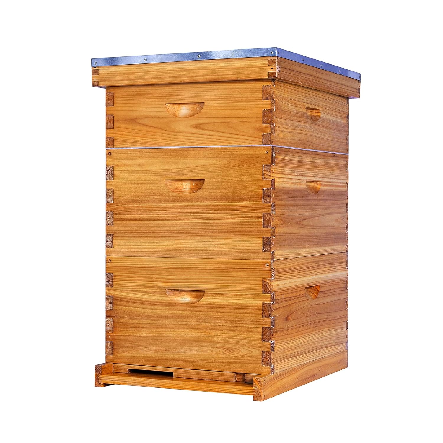 Beehive Frame Wax - 10-Frame Langstroth Bee Hive Complete Bee