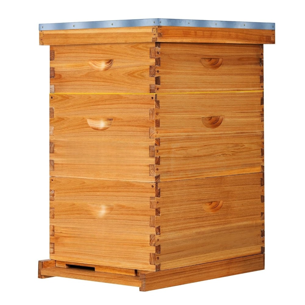 10 Frame Langstroth Bee Hive C – Beehive Frame Wax recenzja i cena