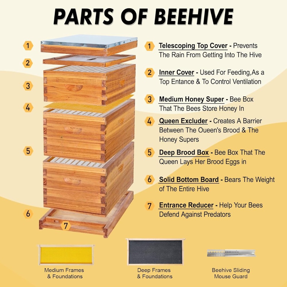 10 Frame Langstroth Bee Hive C – Beehive Frame Wax recenzja i cena