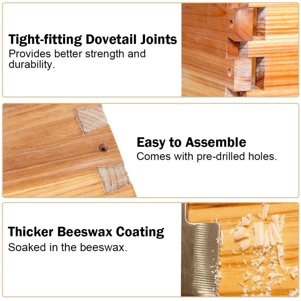 10 Frame Langstroth Bee Hive C – Beehive Frame Wax recenzja i cena