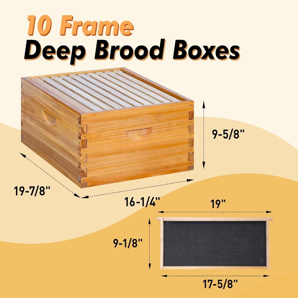 10 Frame Langstroth Bee Hive C – Beehive Frame Wax recenzja i cena