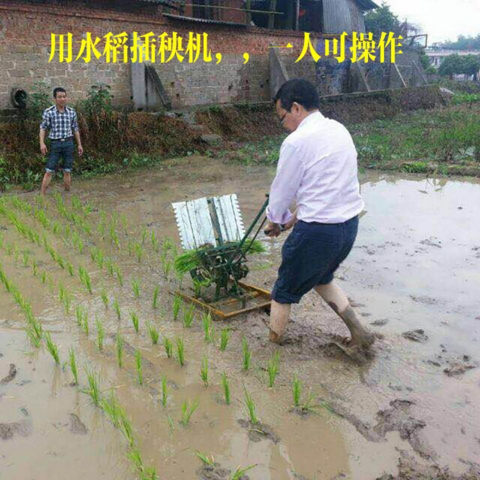 Rice transplanter Hand-cranked – Agriculture Farming Rice recenzja i cena