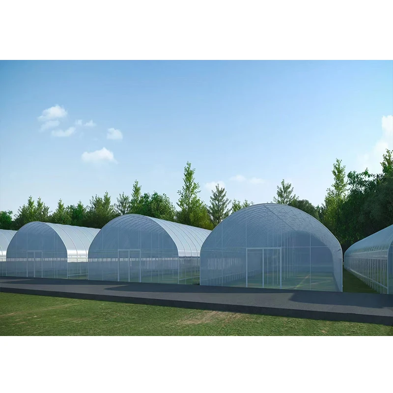 # l Low Cost Farm Singlespan G – Agriculture Farm House recenzja i cena