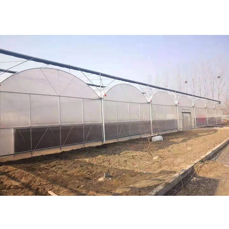 # l Low Cost Farm Singlespan G – Agriculture Farm House recenzja i cena