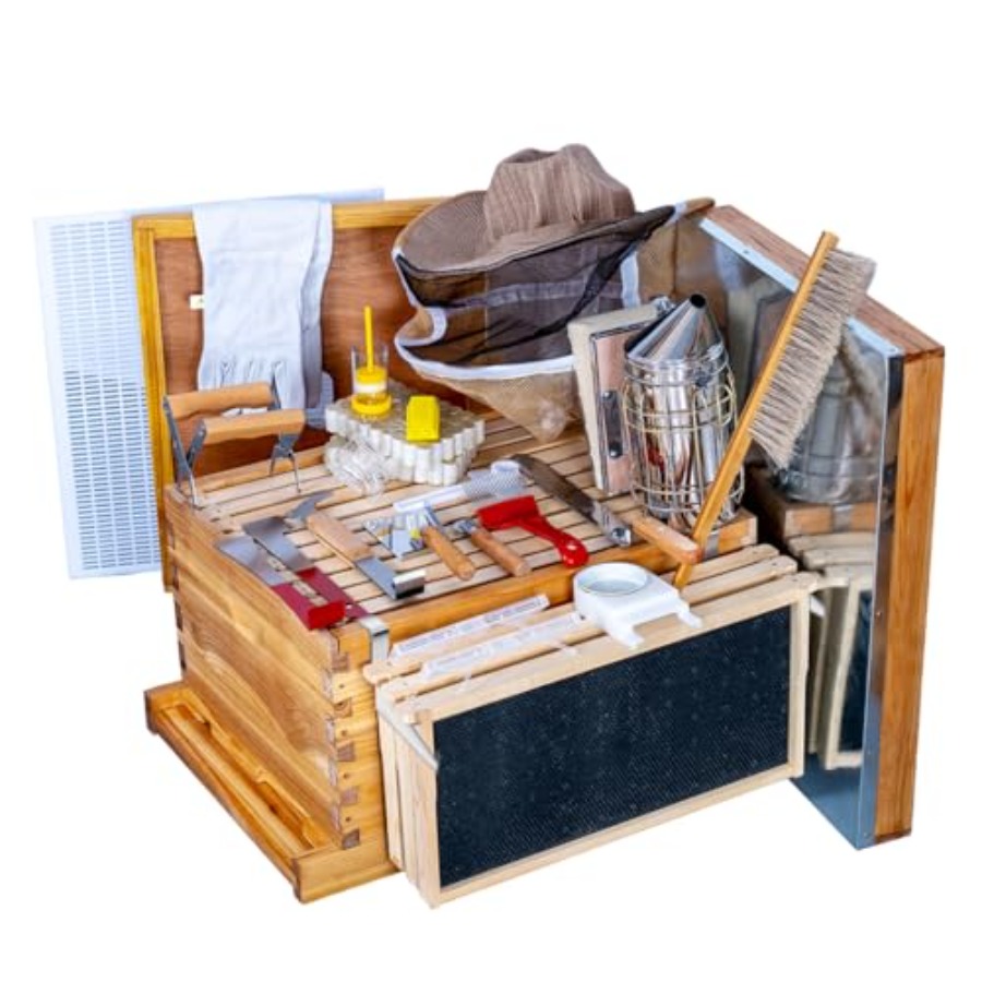 Beehive Starter Kit -Frame Bee – Beehive Frame Wax recenzja i cena