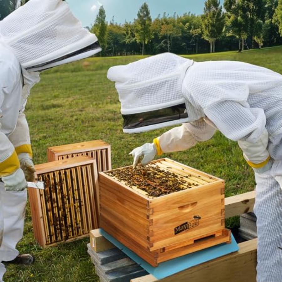 Beehive Starter Kit -Frame Bee – Beehive Frame Wax recenzja i cena