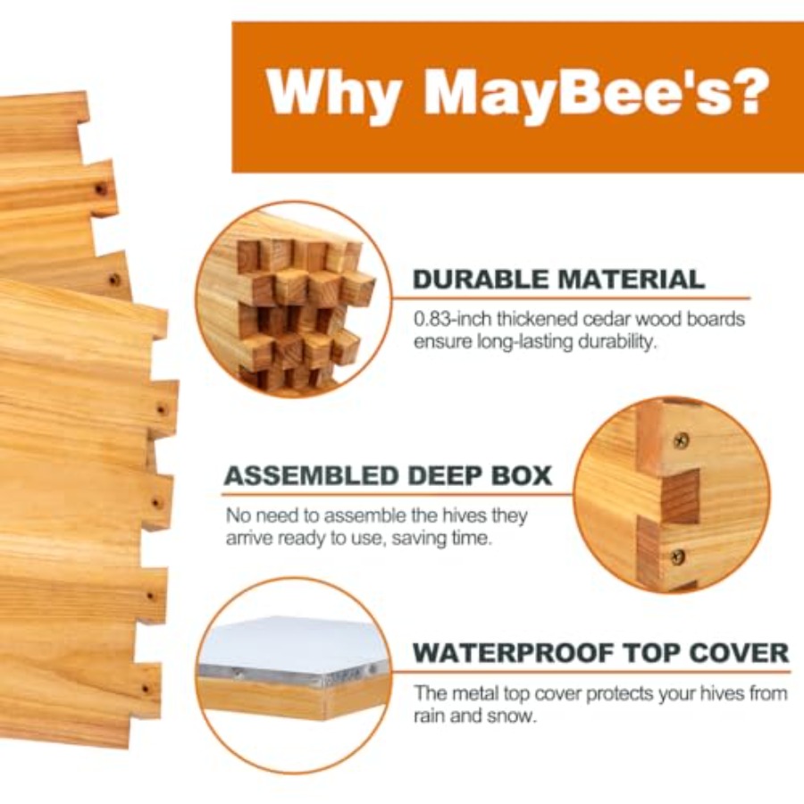 Beehive Starter Kit -Frame Bee – Beehive Frame Wax recenzja i cena