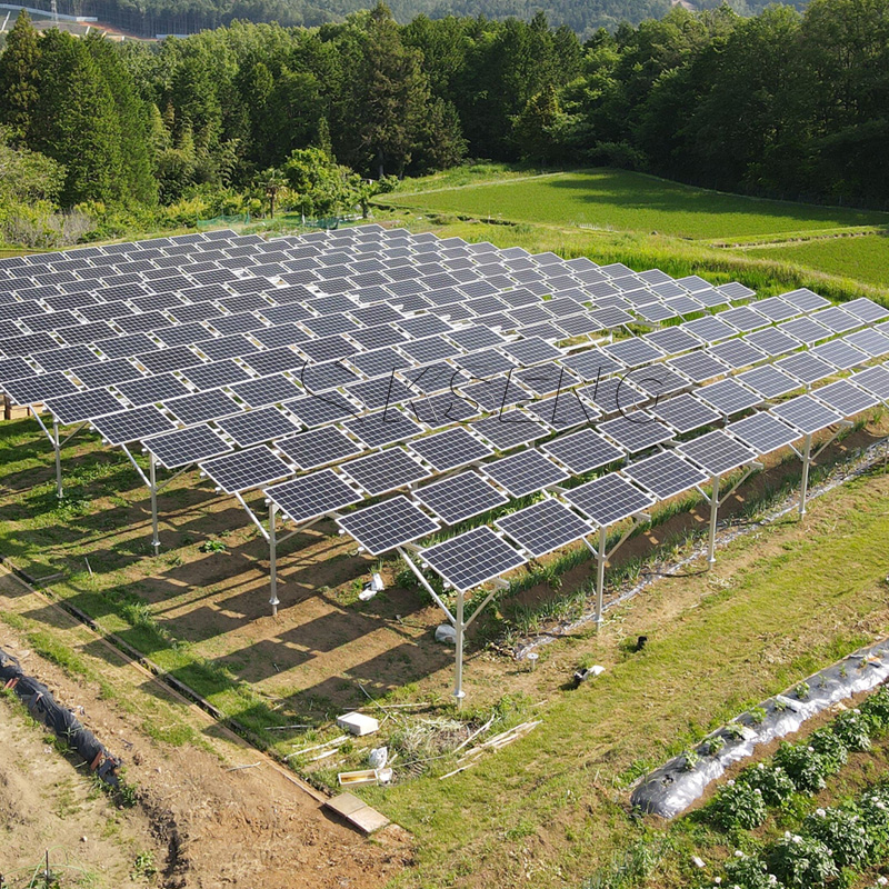 1MW for PV Agricultural Photov – Agriculture Farming Services recenzja i cena