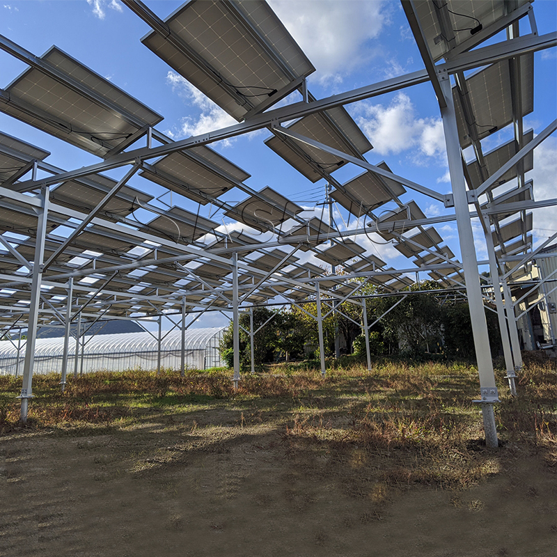 1MW for PV Agricultural Photov – Agriculture Farming Services recenzja i cena