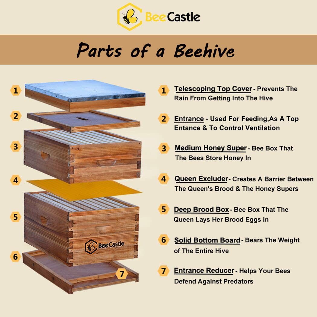 8 Frame Langstroth Bee Hive Co – Beehive Frame Wax recenzja i cena