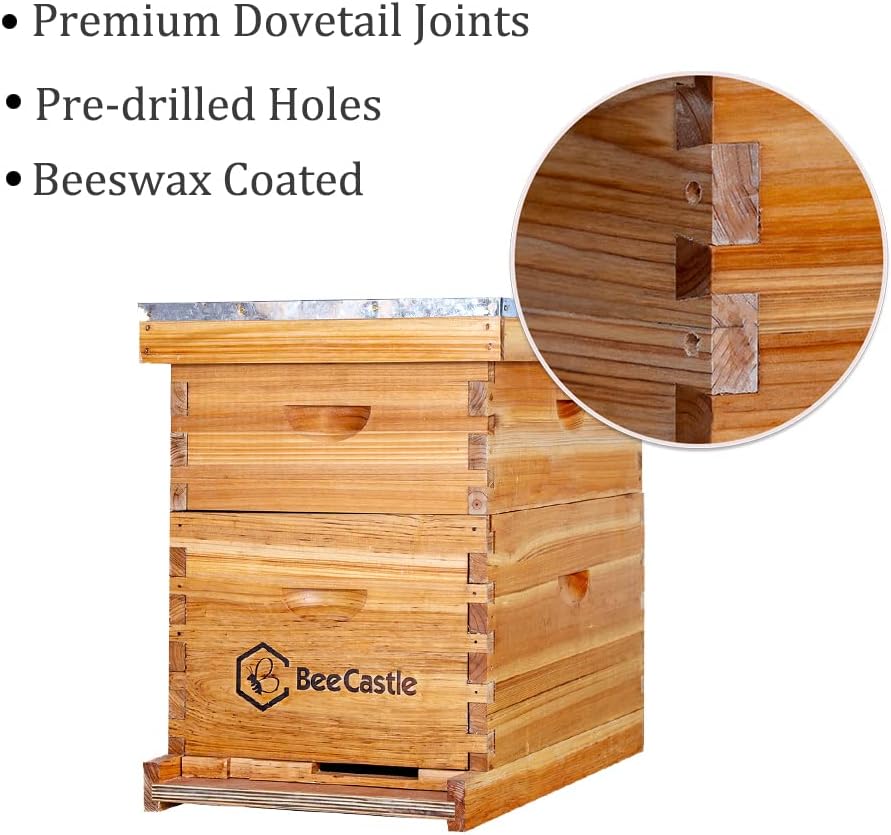 8 Frame Langstroth Bee Hive Co – Beehive Frame Wax recenzja i cena