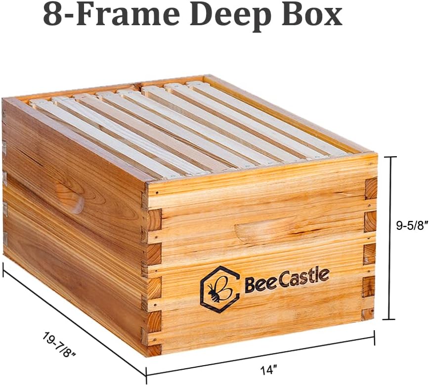 8 Frame Langstroth Bee Hive Co – Beehive Frame Wax recenzja i cena
