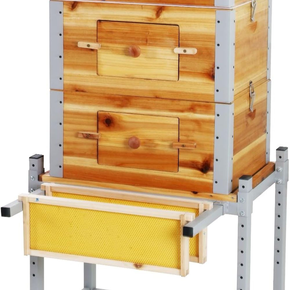 10-Frame Langstroth Beehive wi – Beehive Frame Wax recenzja i cena