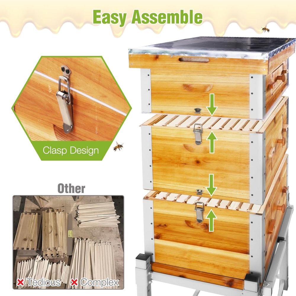 10-Frame Langstroth Beehive wi – Beehive Frame Wax recenzja i cena