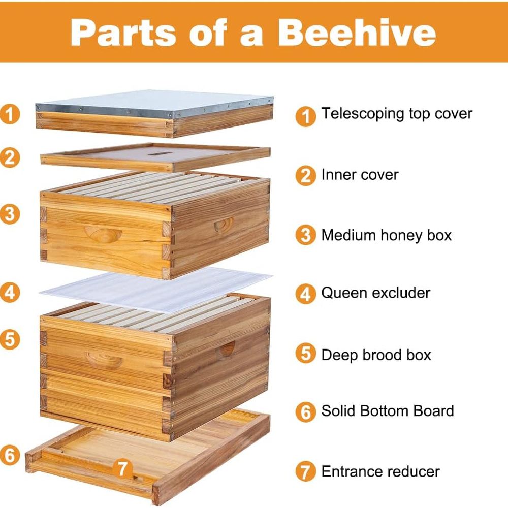 Complete 8-Frame Beehive Kit w – Beehive Frame Wax recenzja i cena