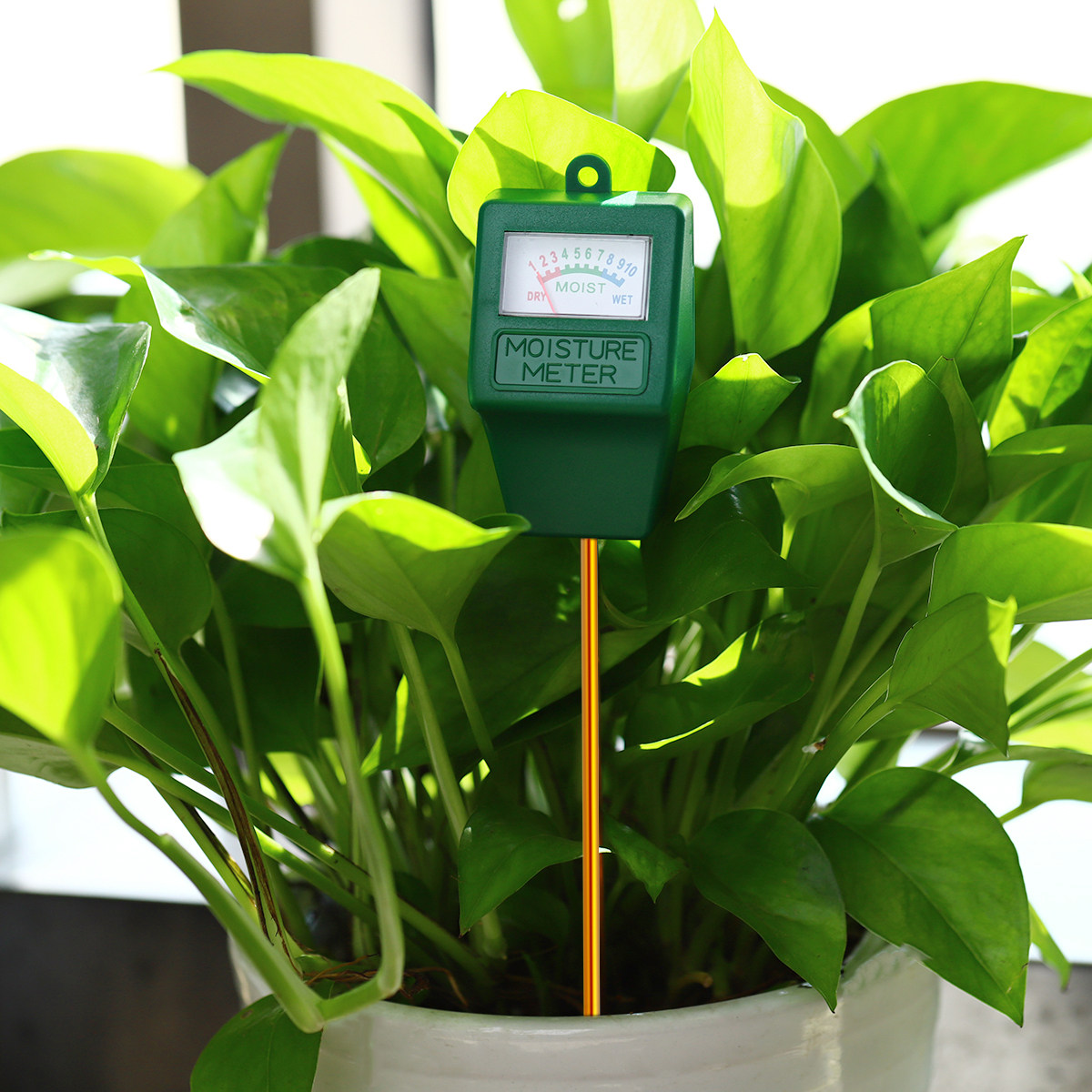 Soil Moisture Meter Precise Mo – Soil Moisture Sensor recenzja i cena