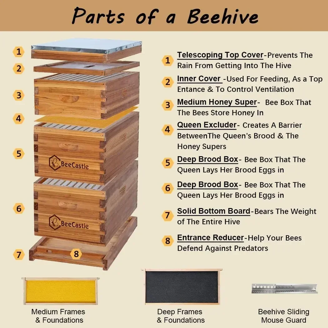 [XMSJ-Limited Stock, Buy Now!] – Beehive Frame Wax recenzja i cena
