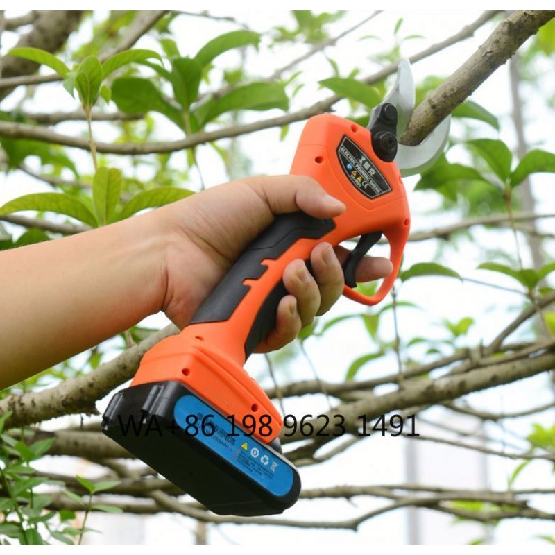 Lightweight cordless garden pr – Agriculture Farming Practices recenzja i cena