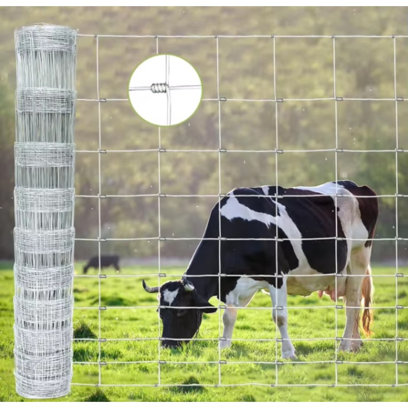 Customized Iron Wire Mesh Fixe – Agriculture Farming Usa recenzja i cena