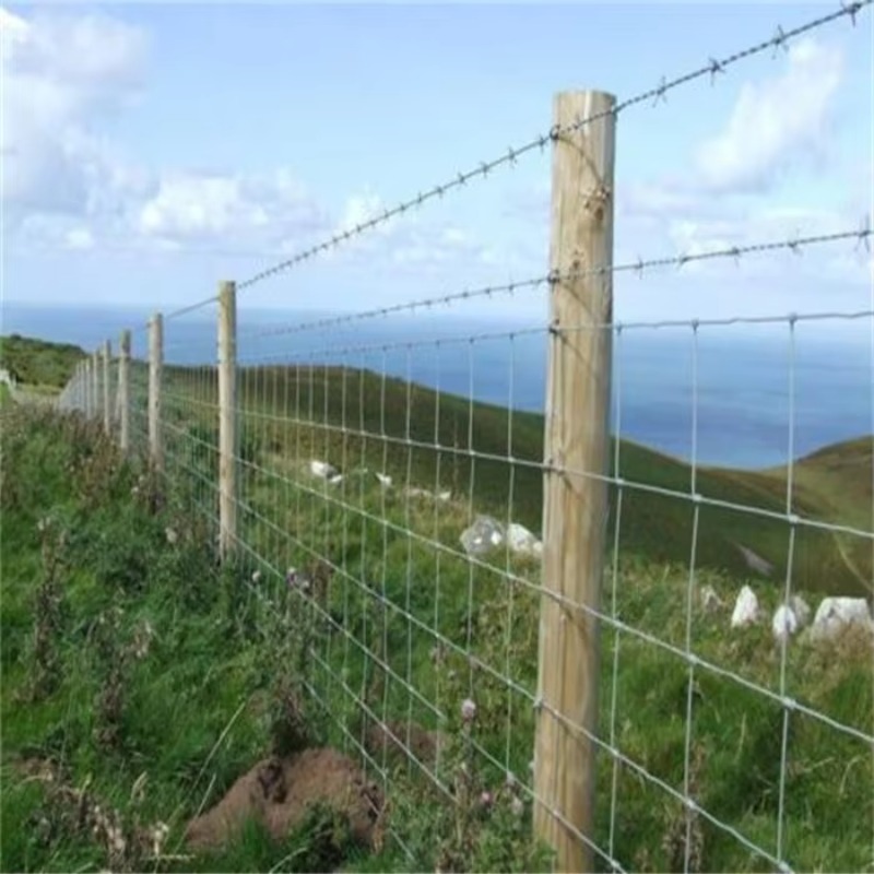 Customized Iron Wire Mesh Fixe – Agriculture Farming Usa recenzja i cena