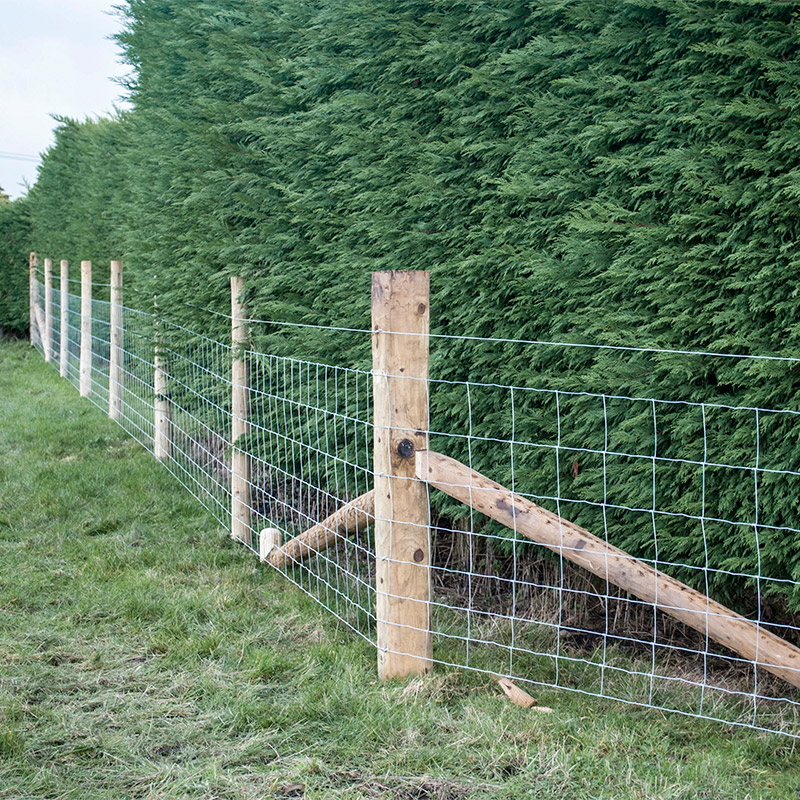 Customized Iron Wire Mesh Fixe – Agriculture Farming Usa recenzja i cena