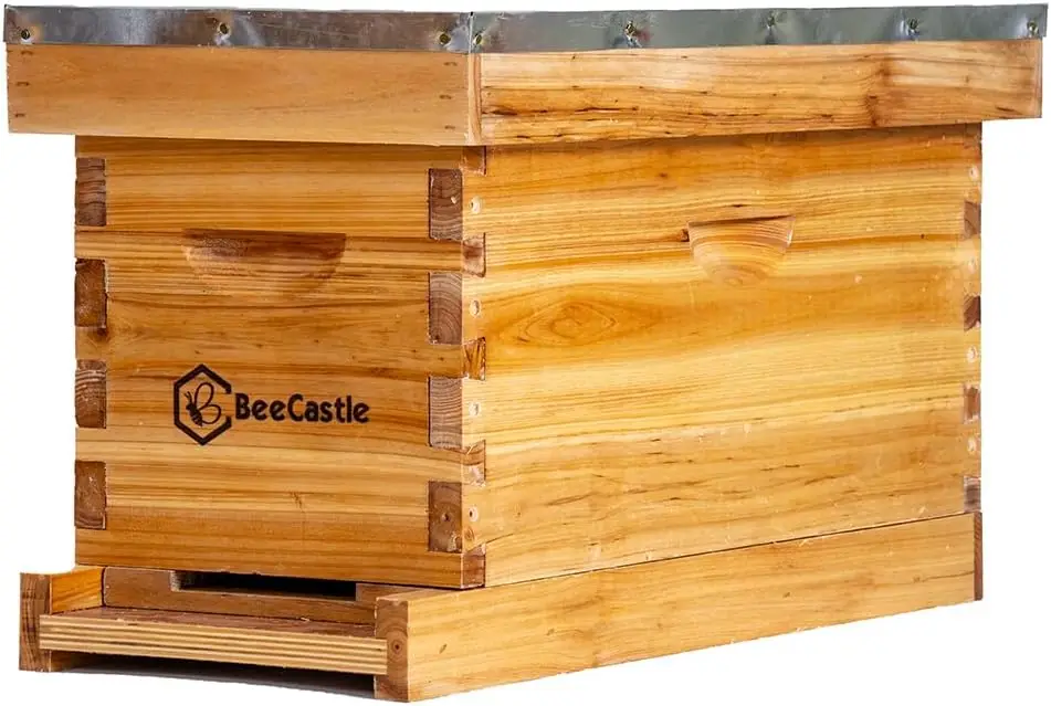 5 Frame Bee Hive Nuc Box Coate – Beehive Frame Wax recenzja i cena