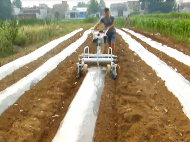 Mini Powered 5HP High Producti – Seed Planter recenzja i cena