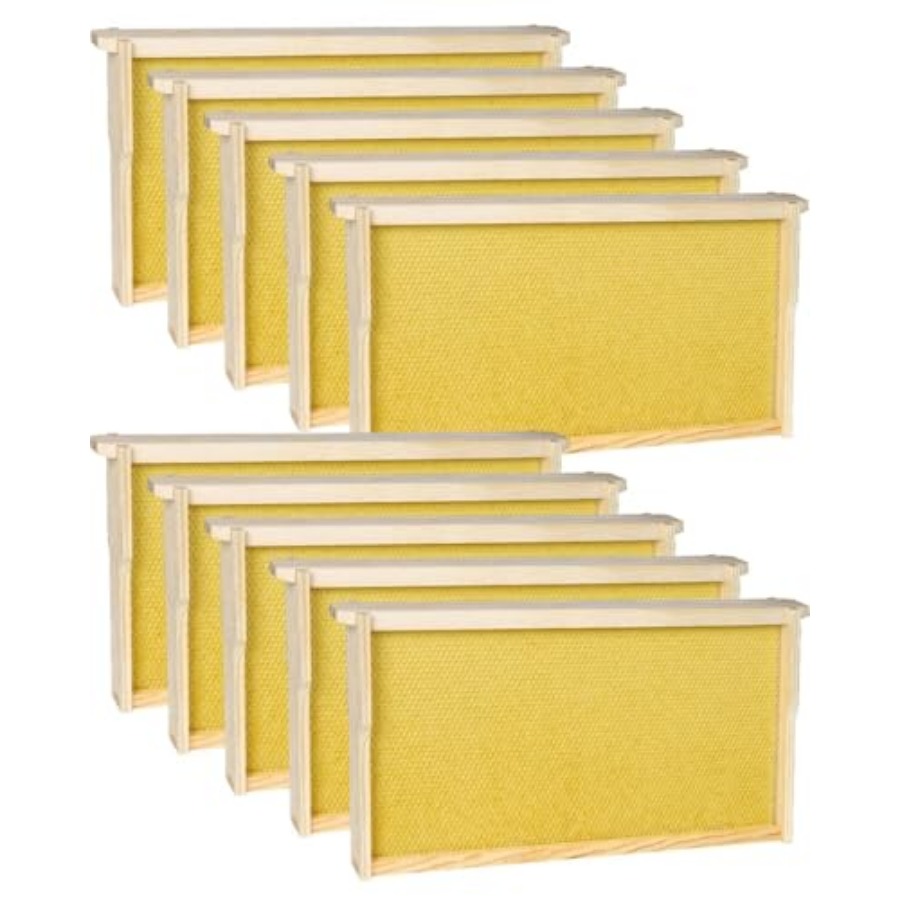vensovo 10 Pack Bee Frames Dee – Beehive Frame Wax recenzja i cena