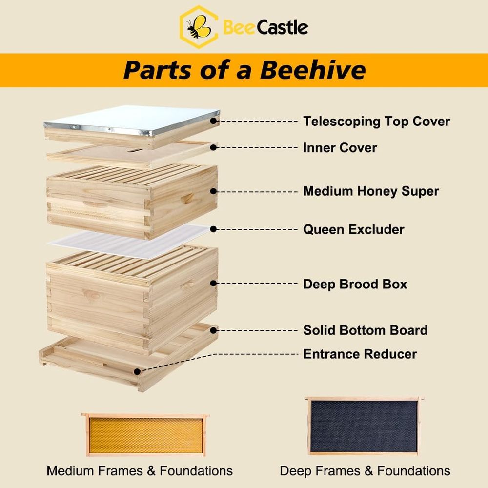 Beginner's Complete Langstroth – Beehive Frame Wax recenzja i cena