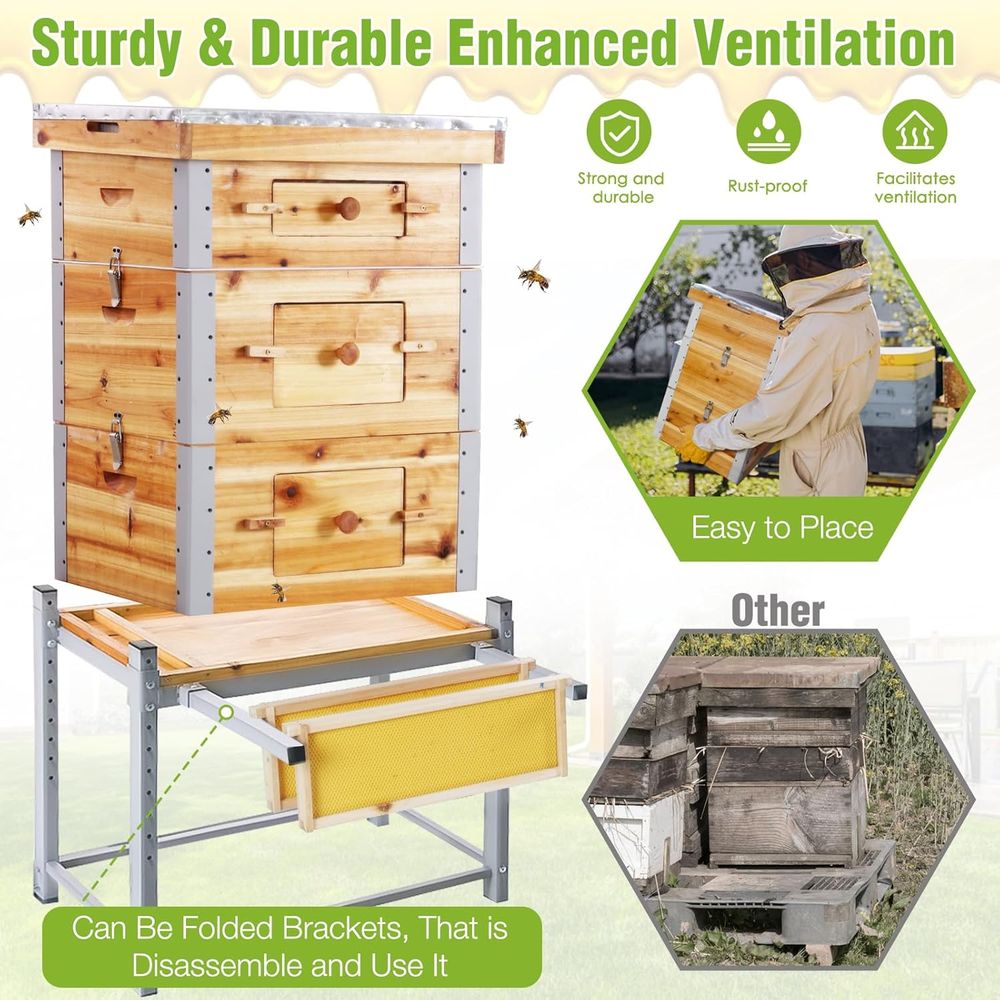 10-Frame Langstroth Beehive wi – Beehive Frame Wax recenzja i cena