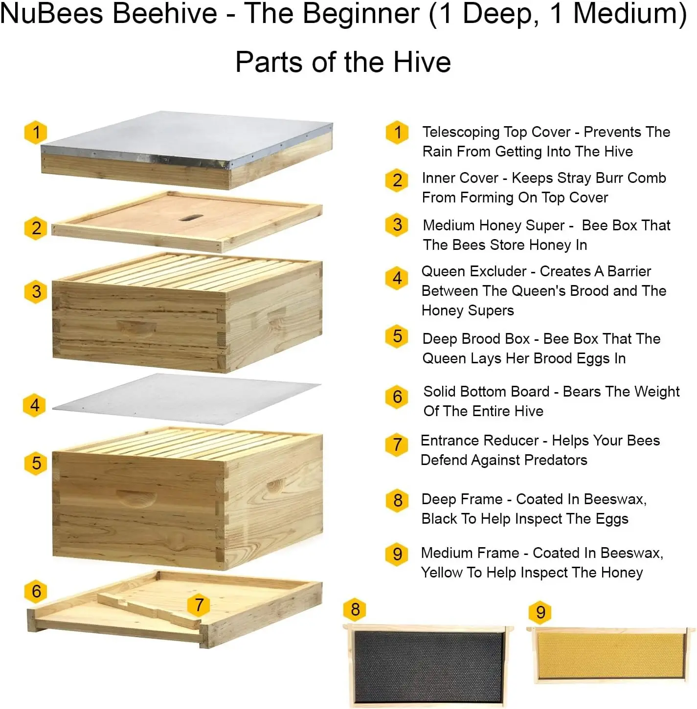 NuBee 8-Frame Beehive Kit – Co – Beehive Frame Wax recenzja i cena