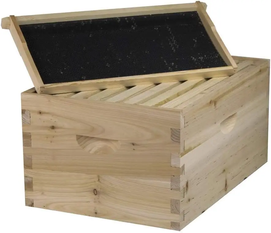 NuBee 8-Frame Beehive Kit – Co – Beehive Frame Wax recenzja i cena