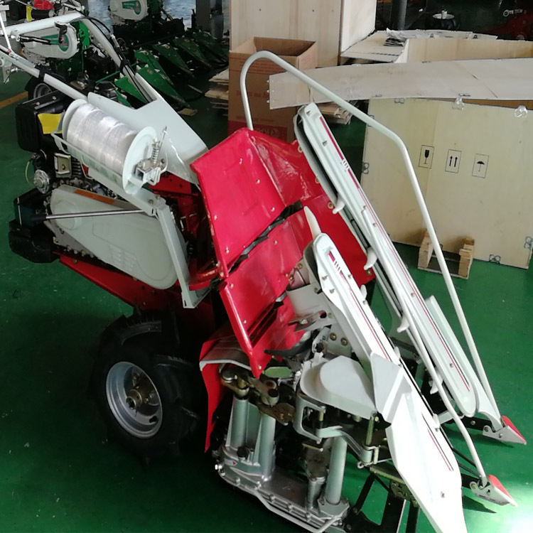 Agricultural Grass Cutting Mac – Agriculture Farming Rice recenzja i cena
