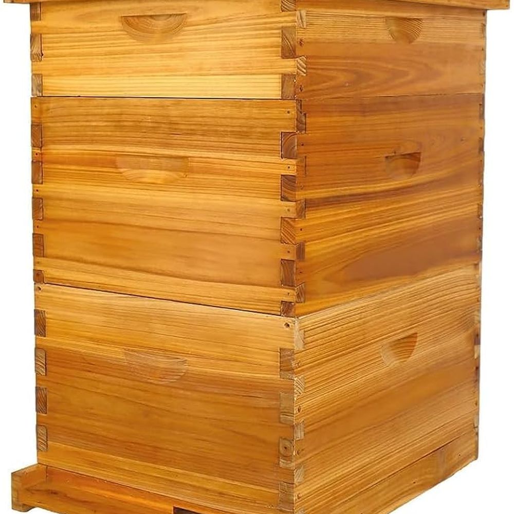 10-Frame Langstroth Bee Hive C – Beehive Frame Wax recenzja i cena