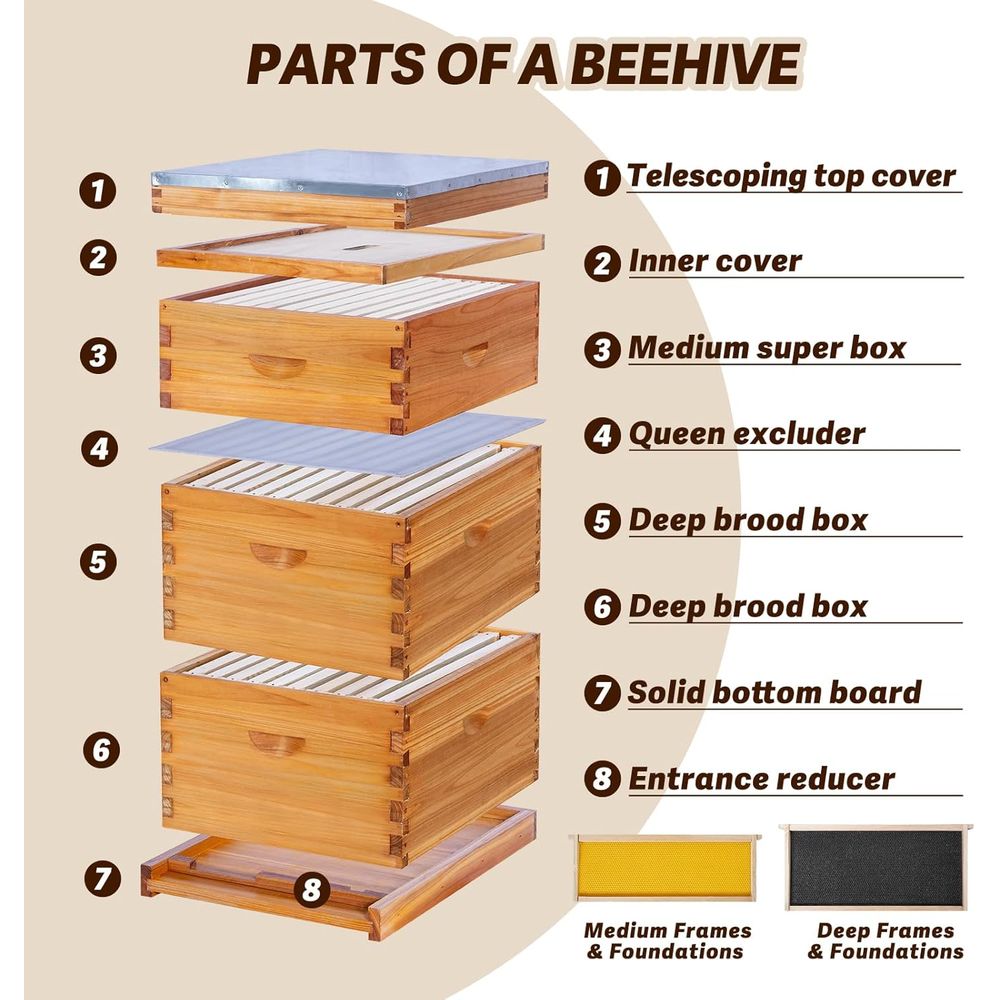 10-Frame Langstroth Bee Hive C – Beehive Frame Wax recenzja i cena