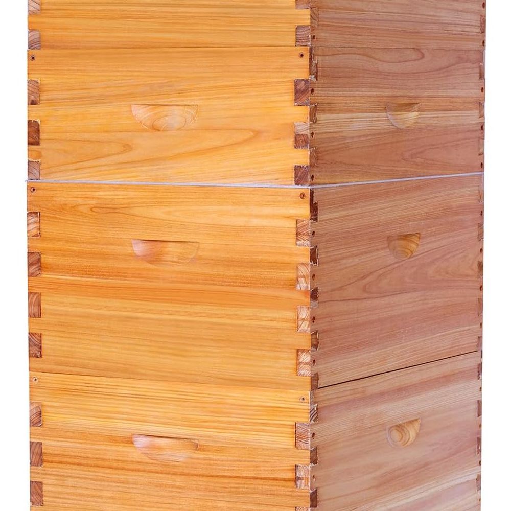 Complete Langstroth Beehive Se – Beehive Frame Wax recenzja i cena