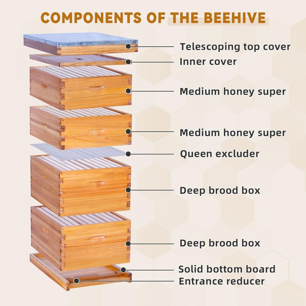 Complete Langstroth Beehive Se – Beehive Frame Wax recenzja i cena
