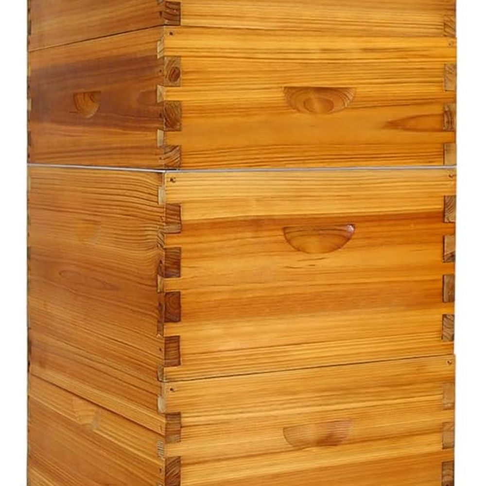 Langstroth Beehive Kit: 10 Wax – Beehive Frame Wax recenzja i cena