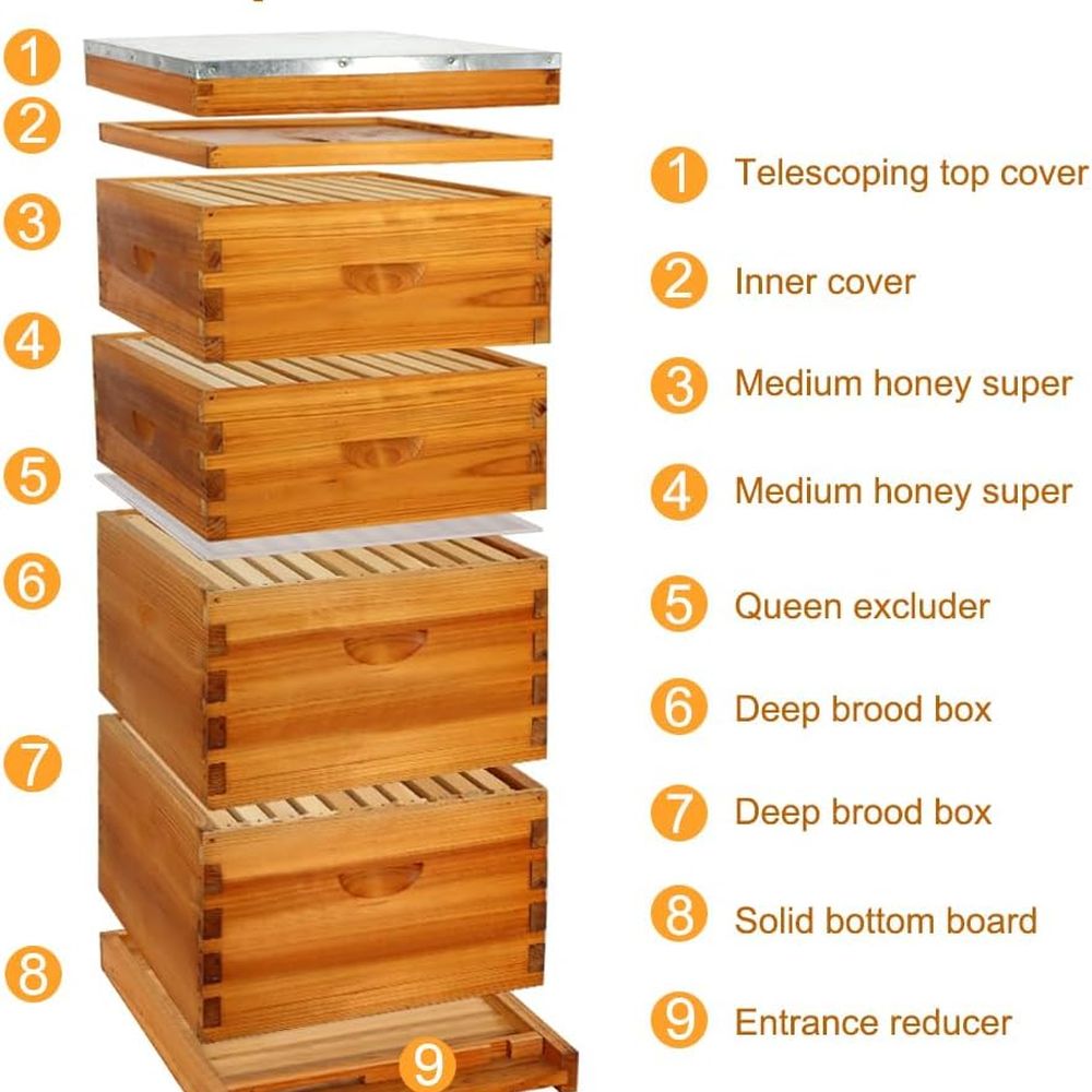 Langstroth Beehive Kit: 10 Wax – Beehive Frame Wax recenzja i cena