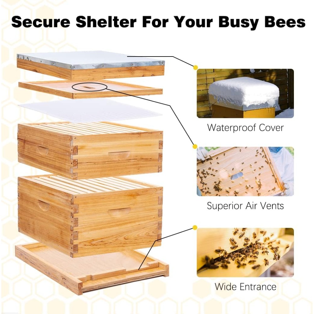 POLLI-BEE 10-Frame Bee Hive Ki – Beehive Frame Wax recenzja i cena