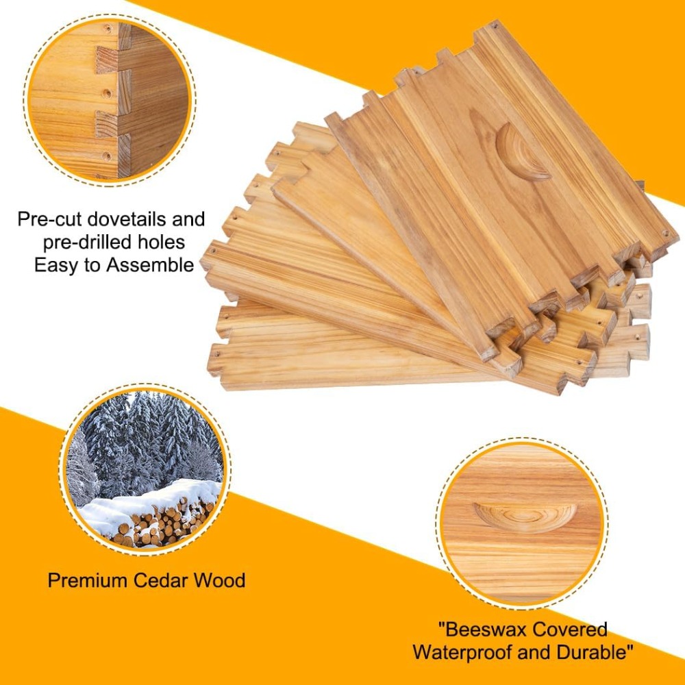 POLLI-BEE 10-Frame Bee Hive Ki – Beehive Frame Wax recenzja i cena