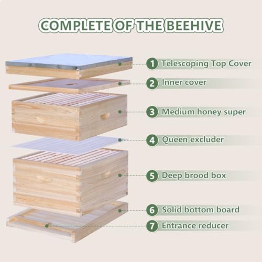 Beekeeping starter kit: wooden – Beehive Frame Wax recenzja i cena