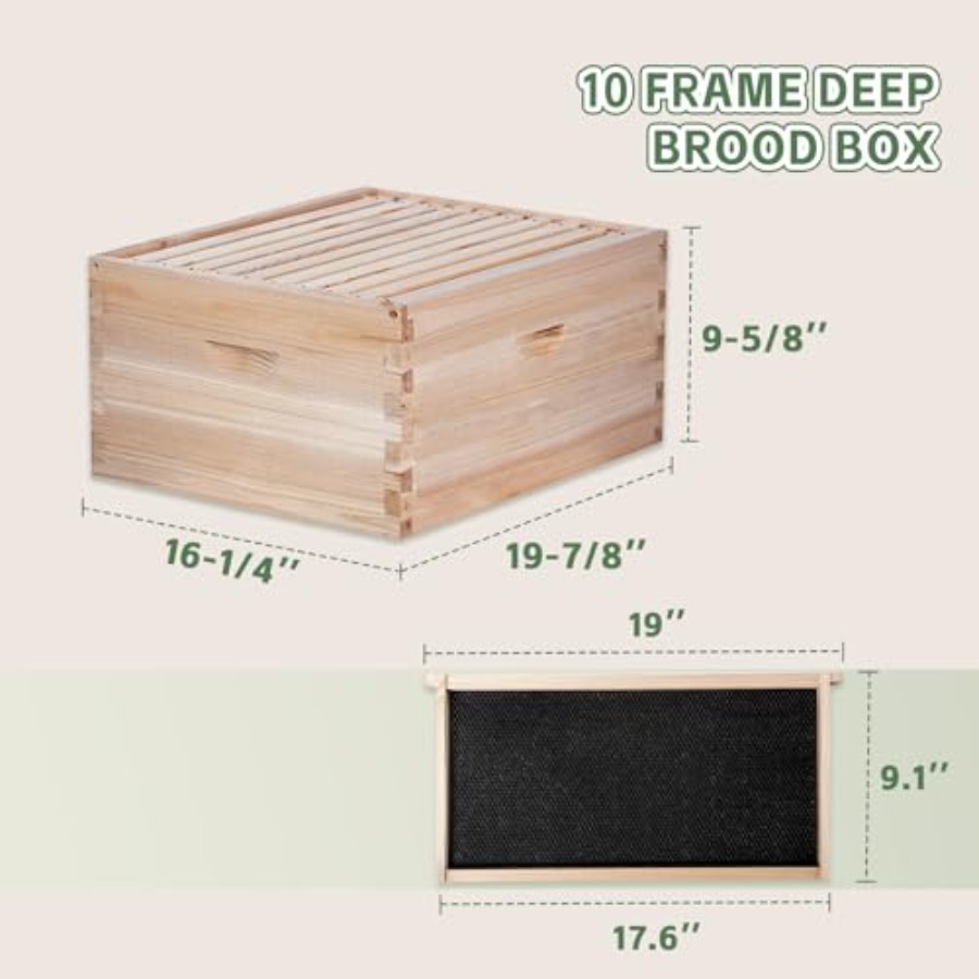 Beekeeping starter kit: wooden – Beehive Frame Wax recenzja i cena