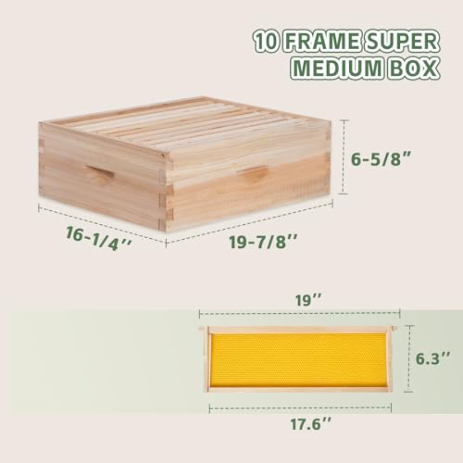 Beekeeping starter kit: wooden – Beehive Frame Wax recenzja i cena
