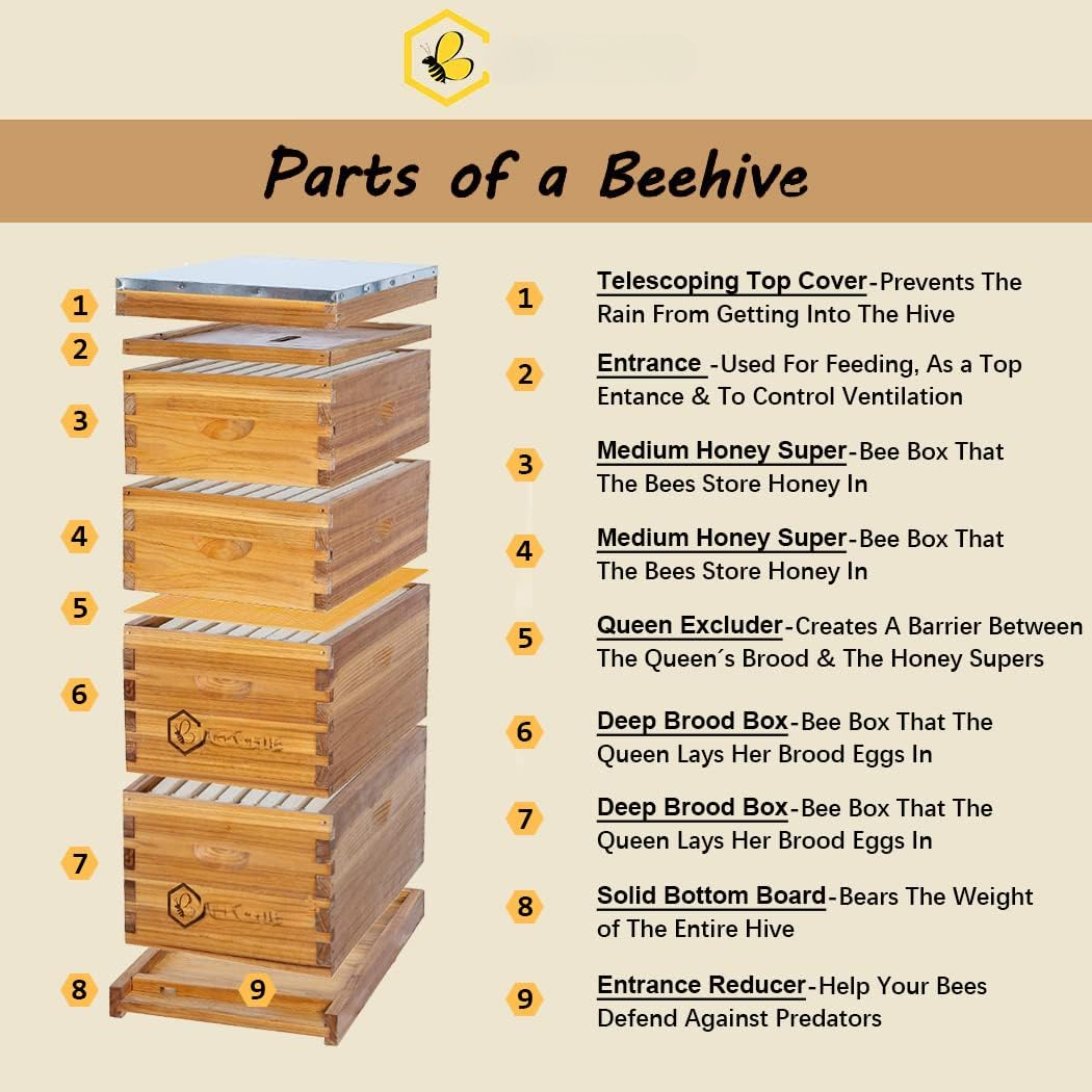 8 Frame Langstroth Bee Hive Co – Beehive Frame Wax recenzja i cena