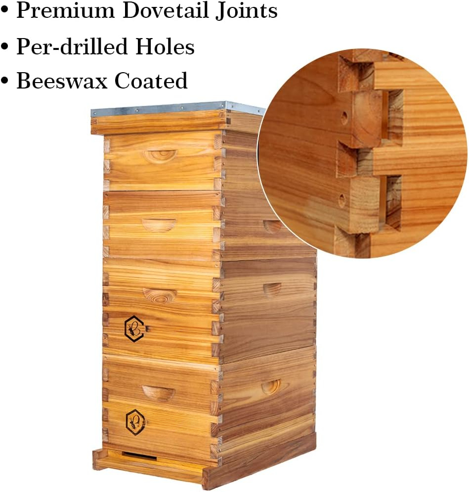8 Frame Langstroth Bee Hive Co – Beehive Frame Wax recenzja i cena
